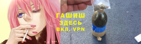 сатива Беломорск