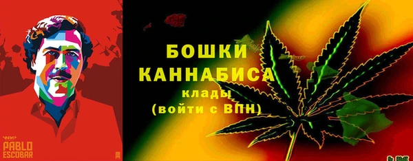сатива Беломорск