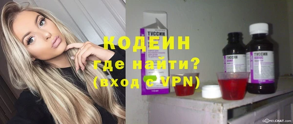 сатива Беломорск