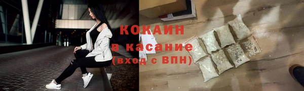 сатива Беломорск