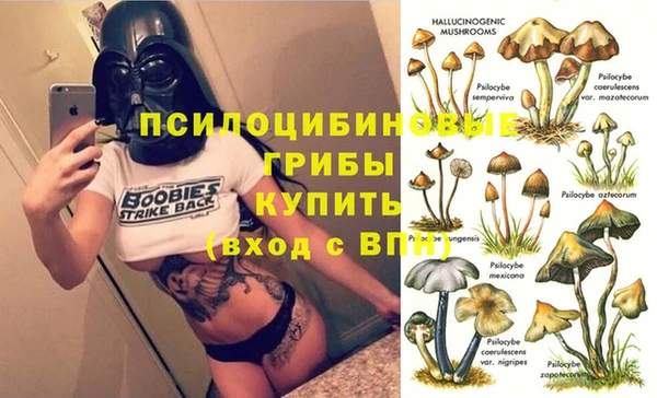 сатива Беломорск