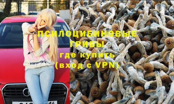 кокс Белокуриха