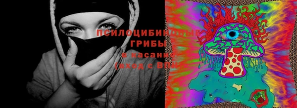 сатива Беломорск