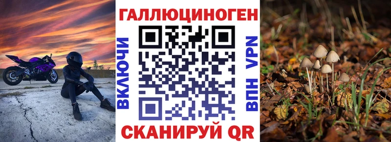 Псилоцибиновые грибы Psilocybine cubensis  Михайлов 
